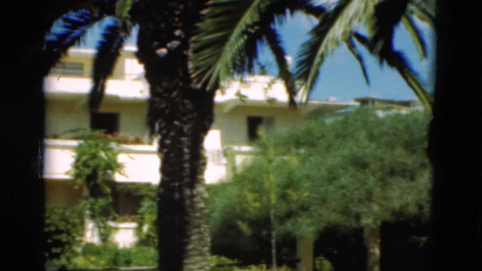 1975 Portugal frame with a white building partially screened by palm trees, leafy shrubs, and a small tree beneath clear sky.
