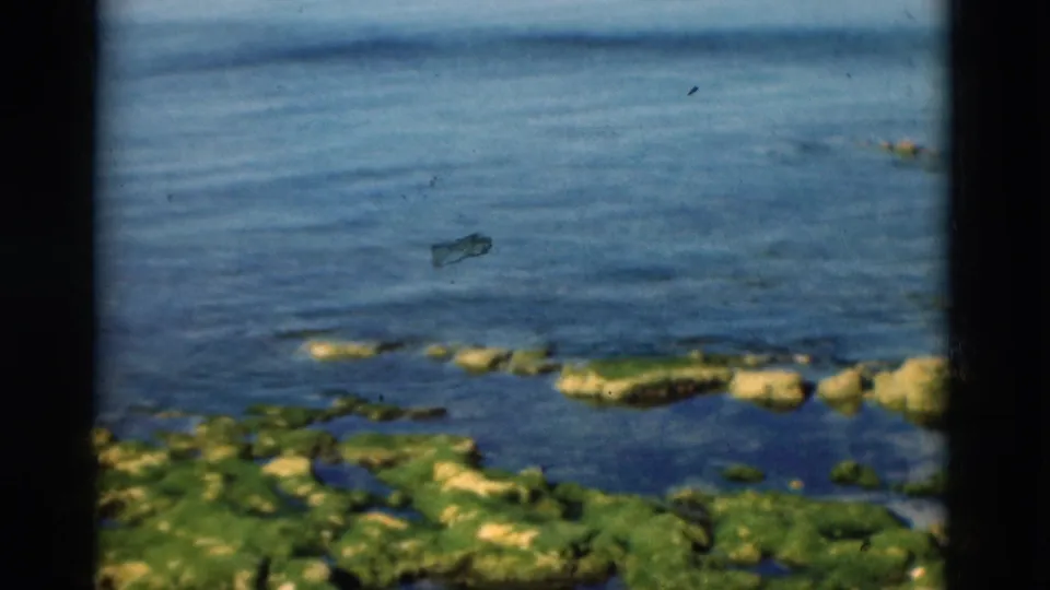 1975 Portugal shoreline view with blue water, algae-covered rocks, and visible film dust.