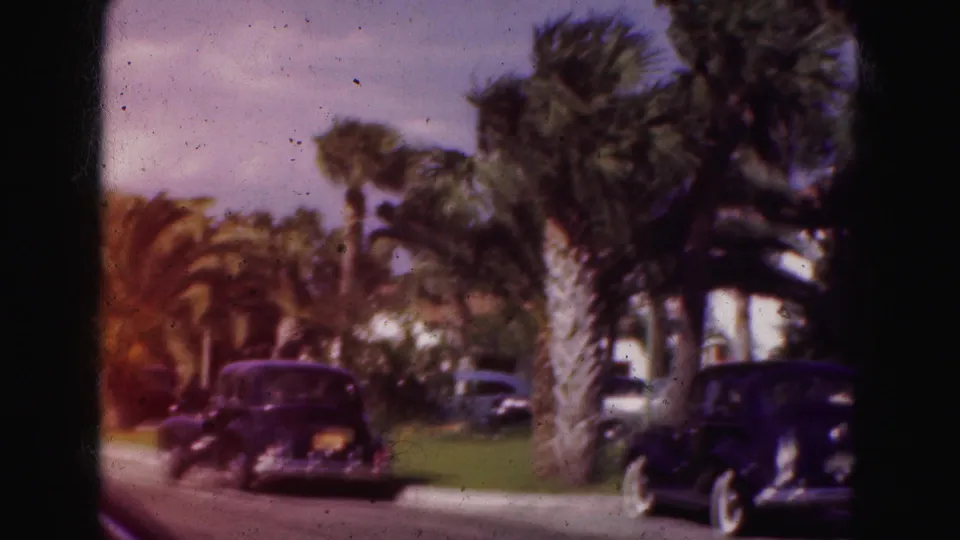 1975 8mm Florida frame showing dark parked cars along a palm-lined lawn in a residential setting.