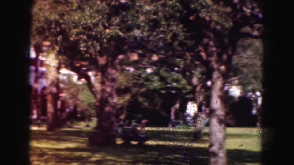 1975 8mm Florida home-movie frame showing a shaded green lawn, trees, and a dark parked car partly obscured by trunks.