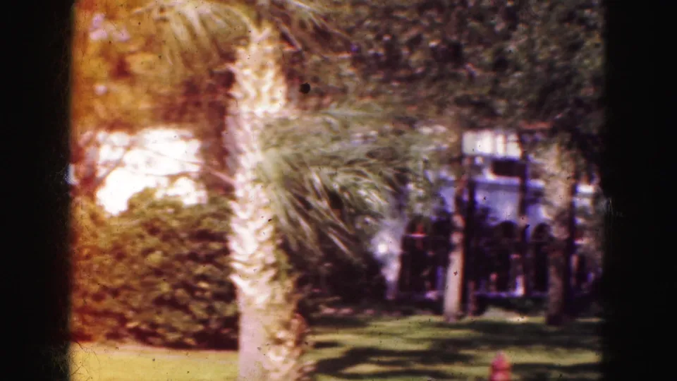 1975 8mm Florida frame with a palm trunk, trimmed lawn, shrubs, and a house frontage partly seen through trees.