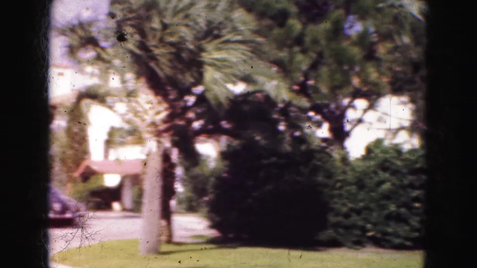 1975 8mm Florida home-movie frame showing palms, thick shrubs, green lawn, and a bright street or driveway edge.