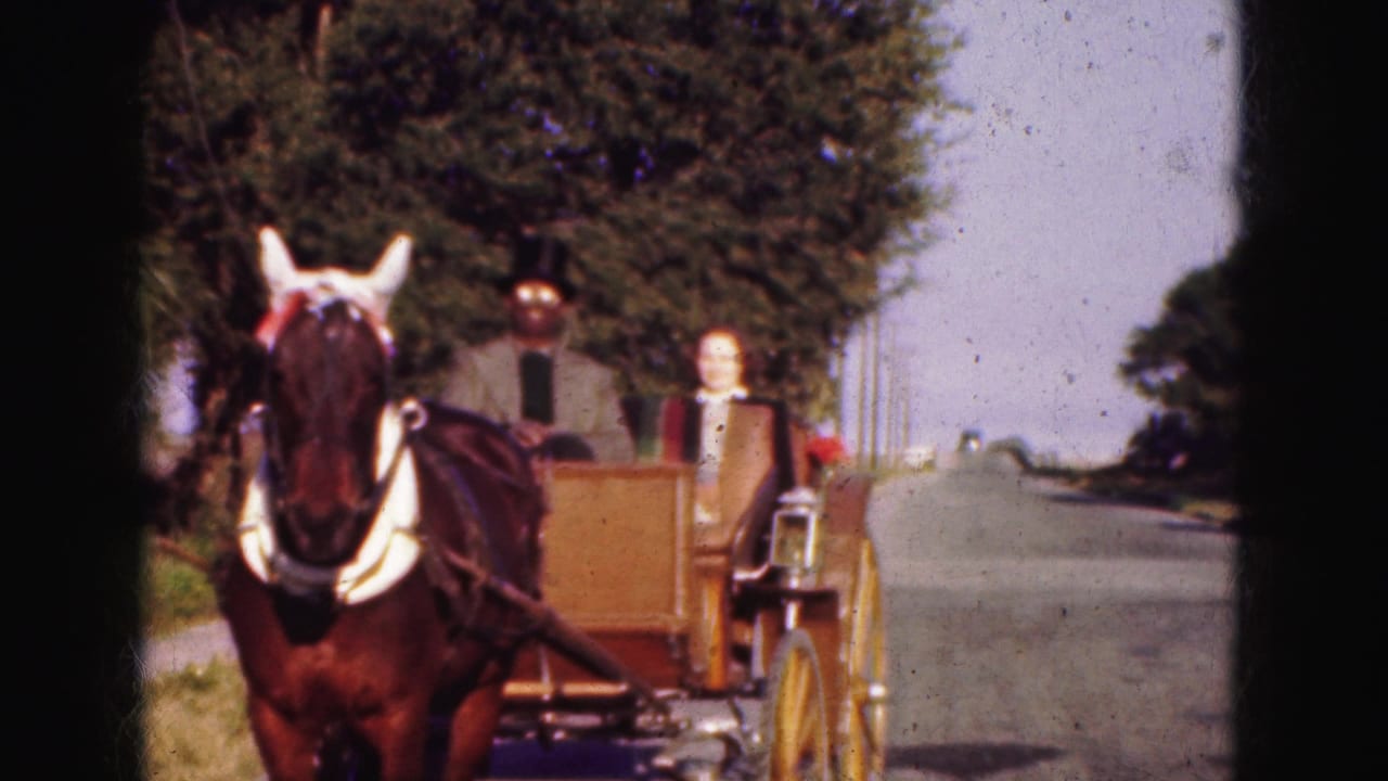 Brown horse pulling a wooden buggy with two adults on a sunny tree-lined road.