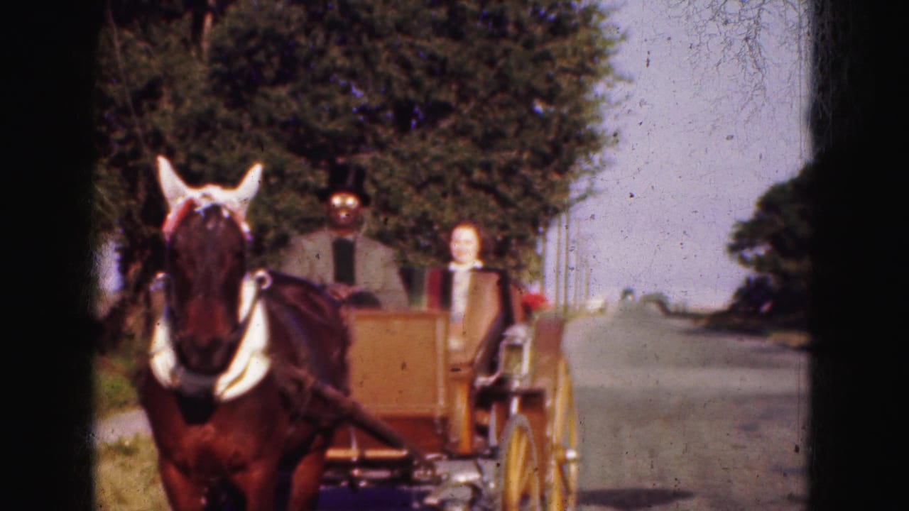 1975 Florida Everglades frame with a decorated brown horse and wooden buggy passing along a quiet roadside.