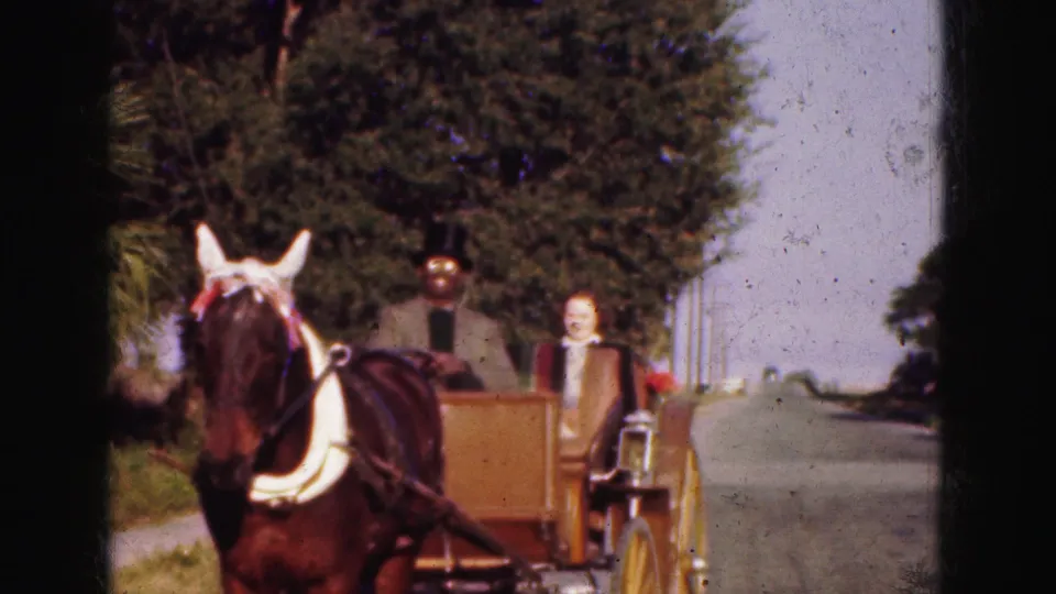 Soft 8mm frame from 1975 Florida Everglades footage showing a horse-drawn buggy approaching or passing the camera.