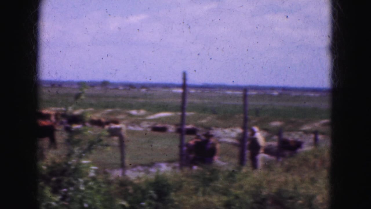 Men and horses near a fence with cattle in the background.