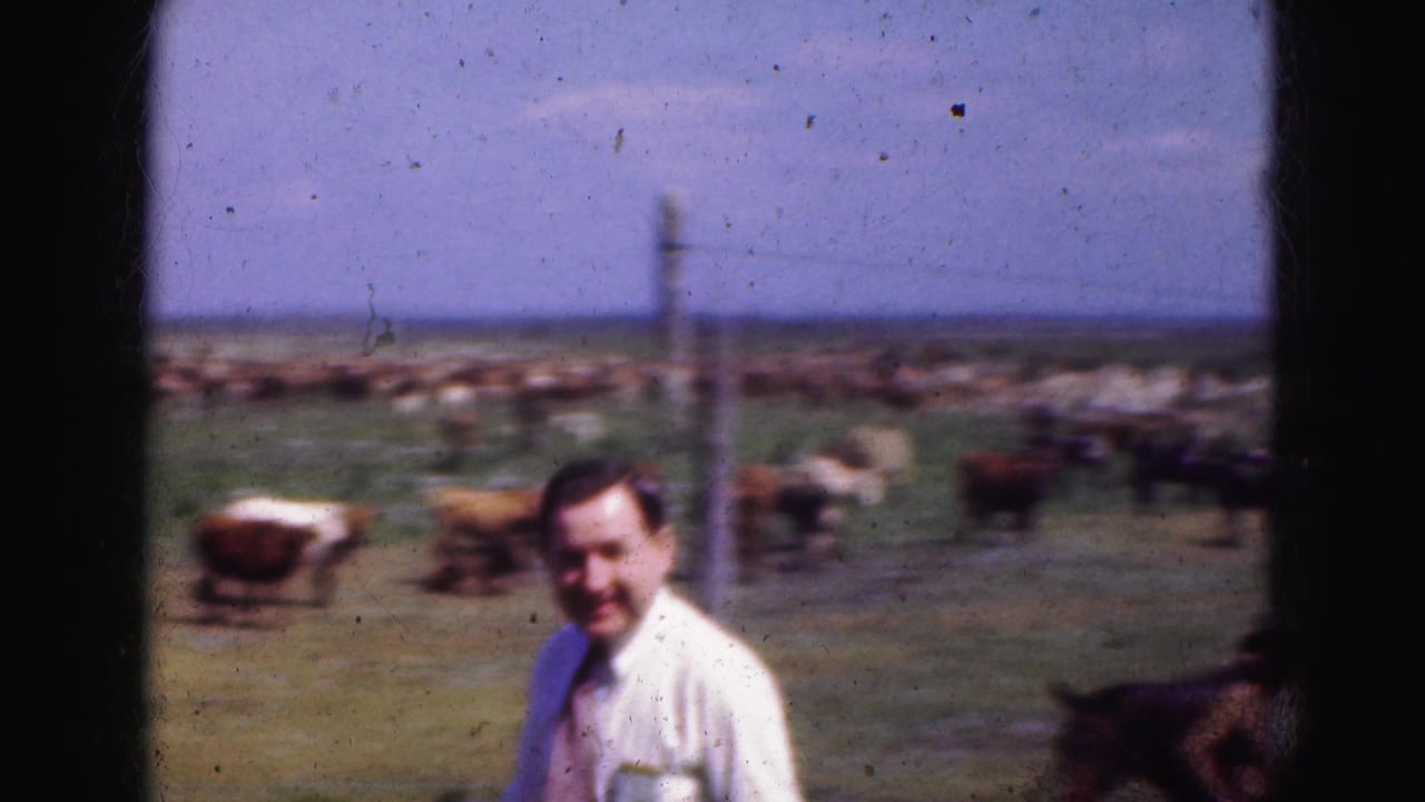 A man in a white shirt smiles toward the camera with cattle grazing behind him in the Florida Everglades pasture.