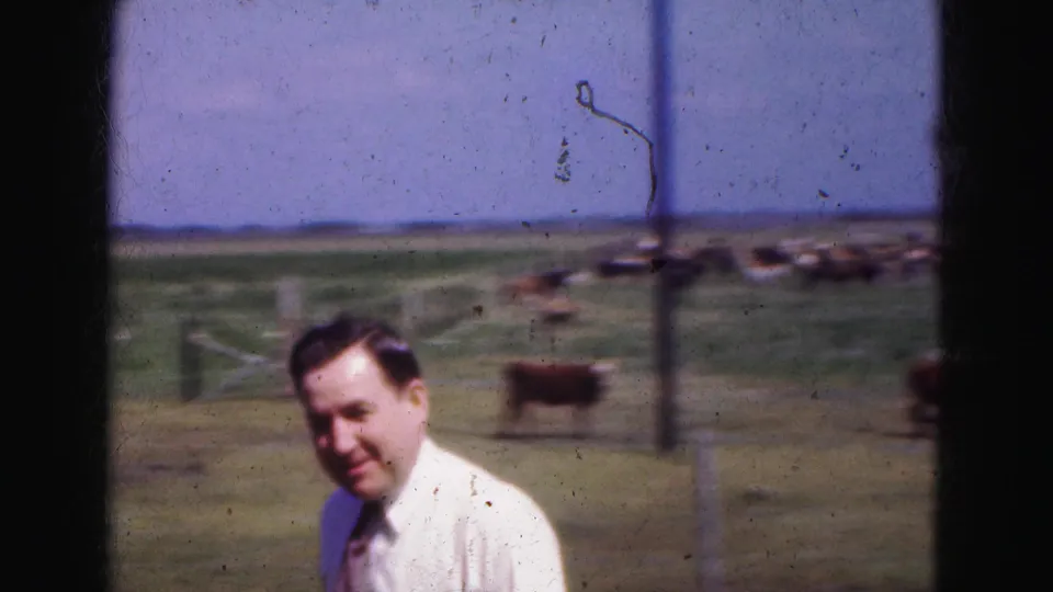 Soft 8mm frame of a man in a white shirt near fence posts, with grazing cattle and low Everglades horizon behind him.