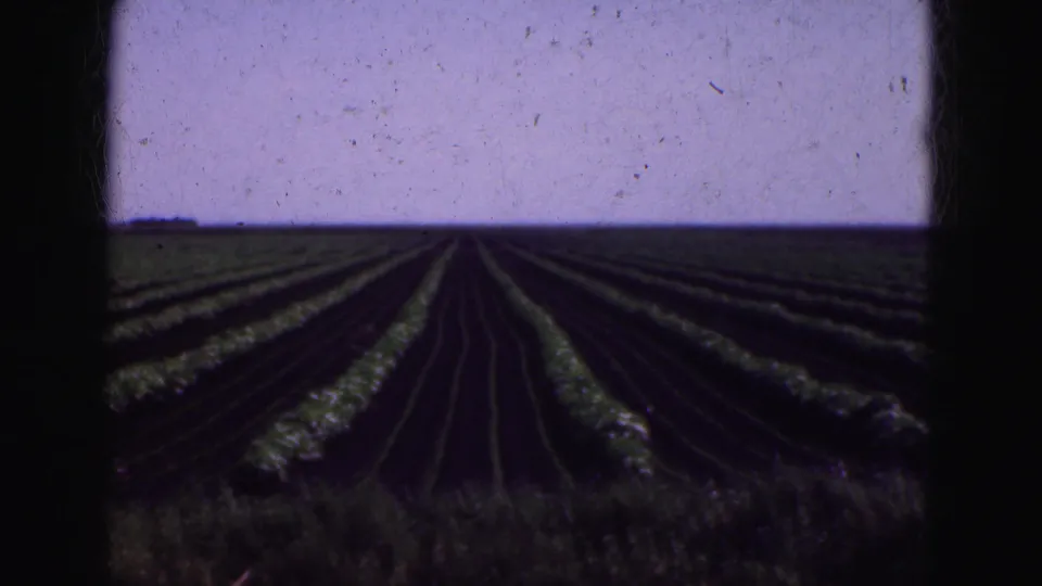 1975 8mm view of cultivated rows in the Florida Everglades area, framed by dark film borders and open sky.