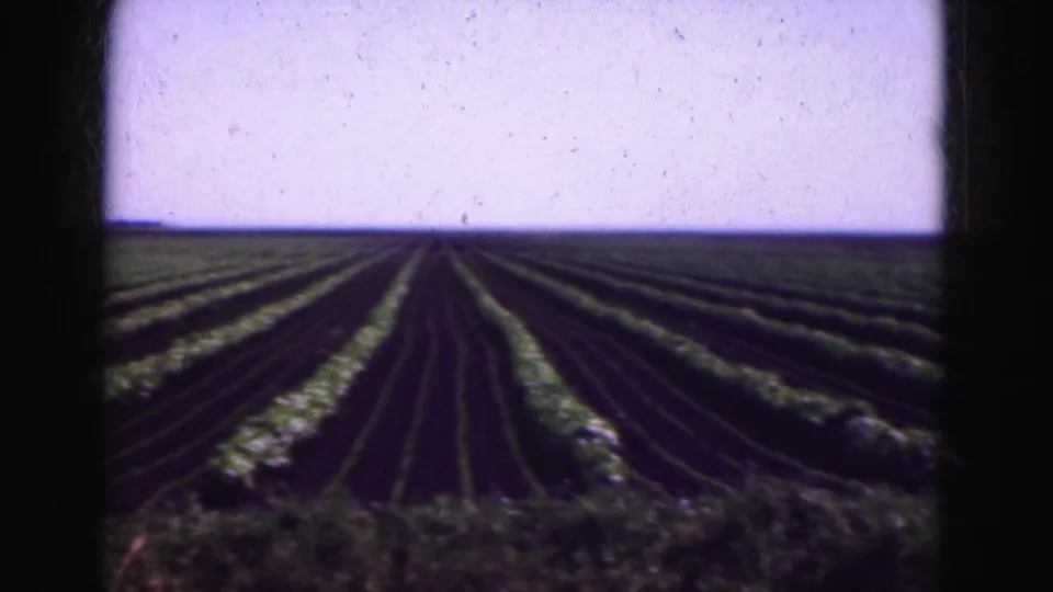 1975 8mm home-movie view across a Florida Everglades-area agricultural field with rows, soil texture, and pale sky.