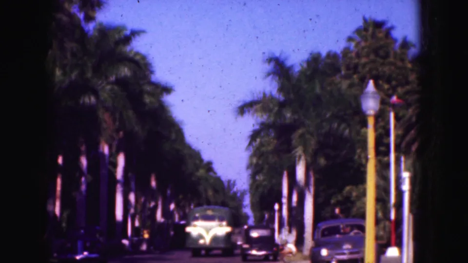 1975 Florida Everglades road-trip frame showing a palm-lined street with older cars, street lamps, and strong sunlit contrast.