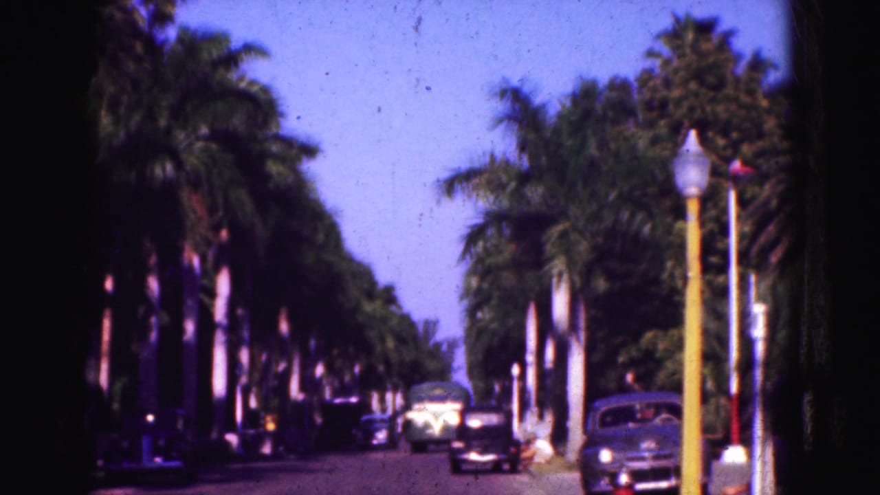 Palm-lined street with period cars, lamp posts, and bright sky seen from a moving vehicle.