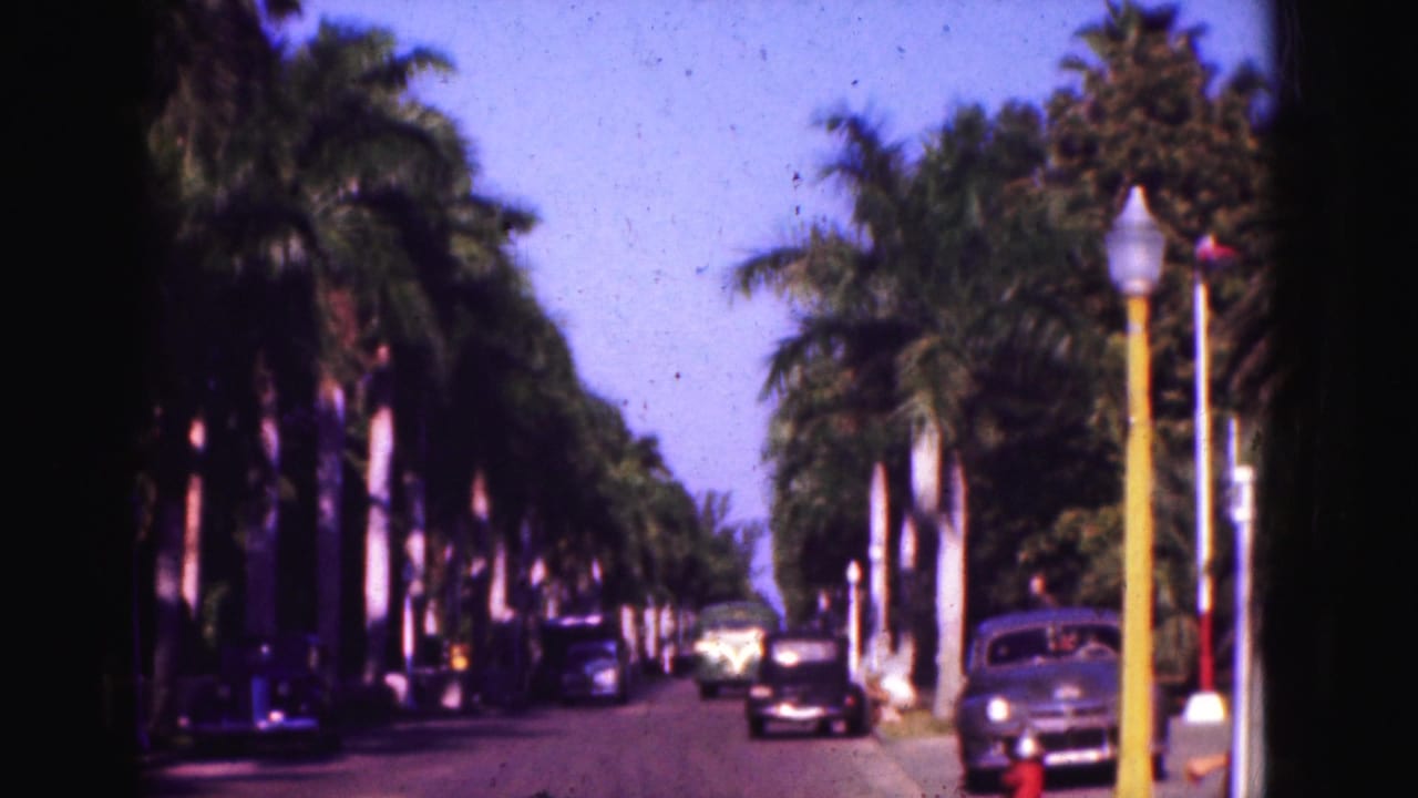 Palm-lined roadway with several cars, yellow lamp posts, and deep shade along the left side.