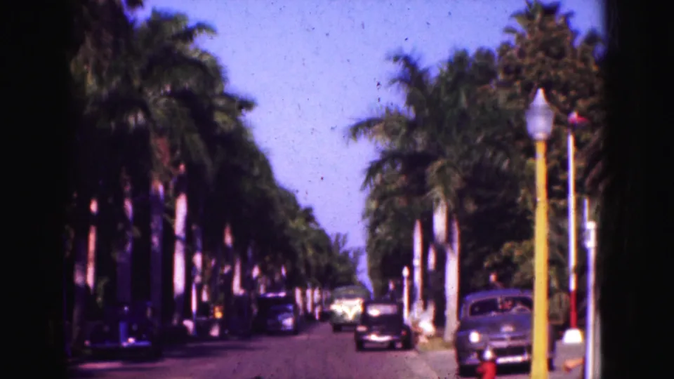 Palm-lined Florida roadway in 1975 with several cars ahead, yellow lamp posts, and strong sun-shadow contrast.