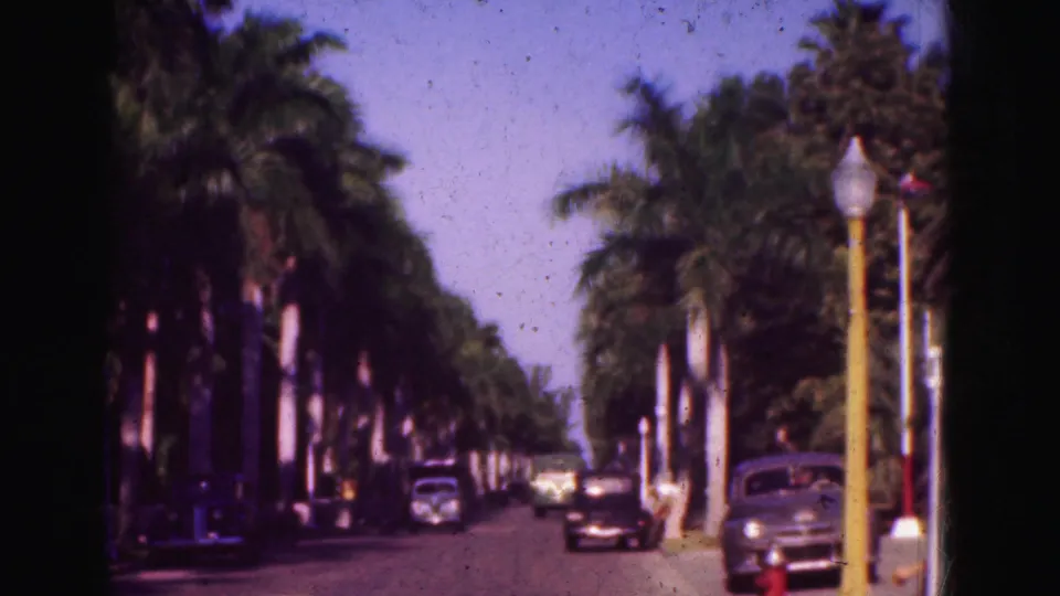 1975 Florida travel shot of a palm-framed street with cars ahead and a yellow lamp post near the foreground.