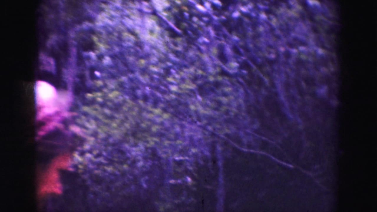 Partly obscured person near dense trees and dark frame edge.