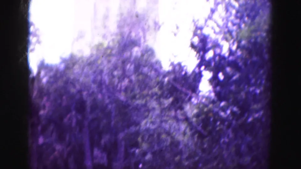 Blurred tree canopy and bright sky fill the handheld 8mm frame, suggesting a quick movement through wooded park space.