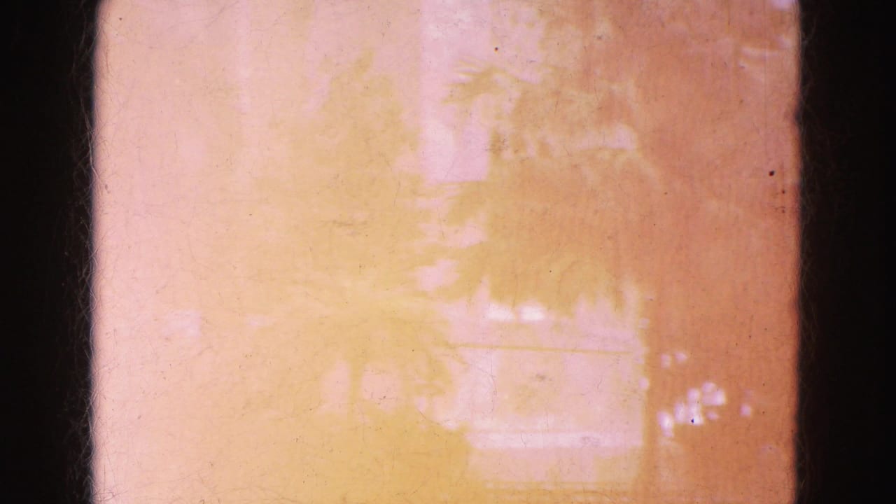 Overexposed warm film frame with faint foliage and dark gate edges.