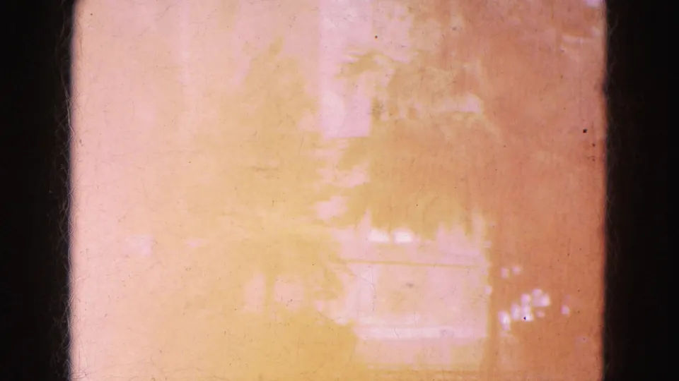 1975 8mm frame from Florida Everglades travel footage showing a bright exposure flare with faint trees and film gate edges.