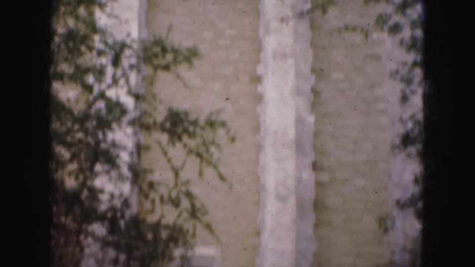 1975 Florida Everglades travel frame showing pale stone architecture partly hidden by leafy branches, with soft focus and 8mm gate edges.