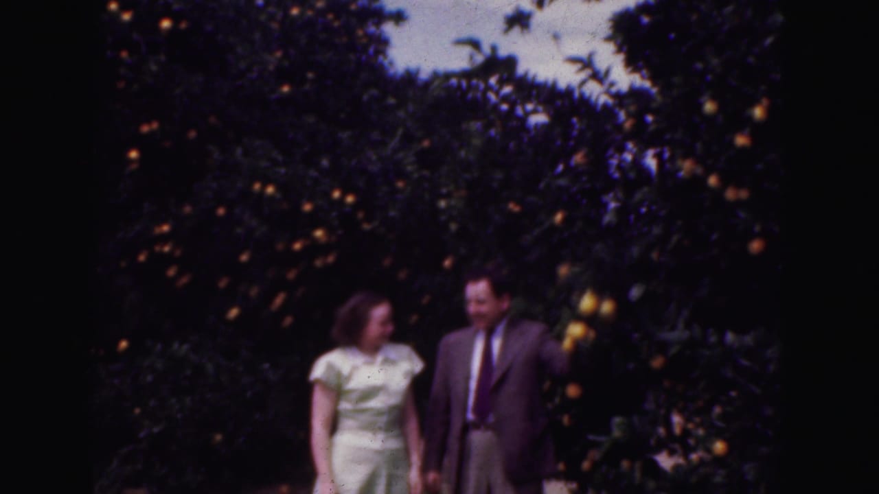 In 1975 Florida home-movie footage, a woman in a light dress and a man in a suit stand among orange-laden trees.