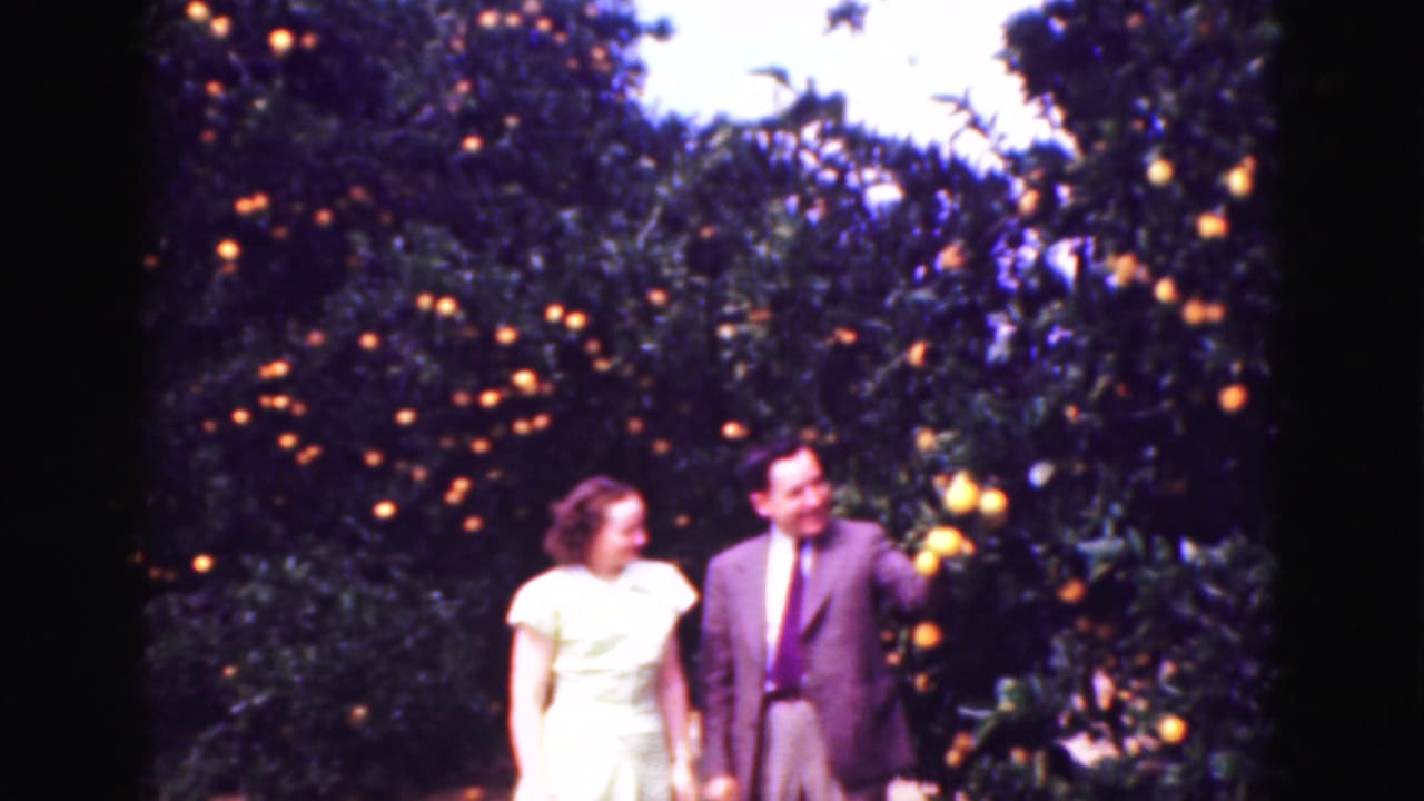 The couple stands in a Florida orange grove, with the suited man gesturing beside bright fruit on the tree.