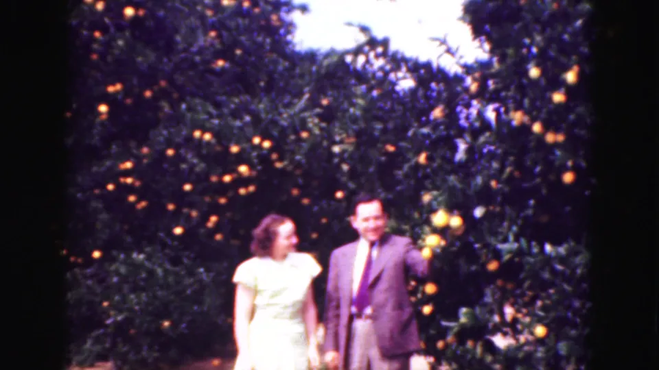A woman in a light dress and a suited man look toward each other amid orange trees in 1975 Florida footage.