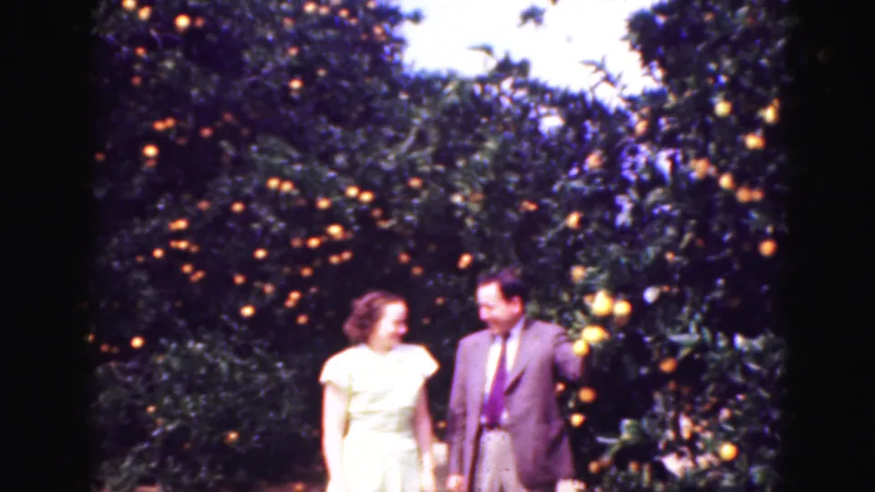 The closing frame shows the couple close together beneath dense citrus foliage, with oranges scattered through the branches.