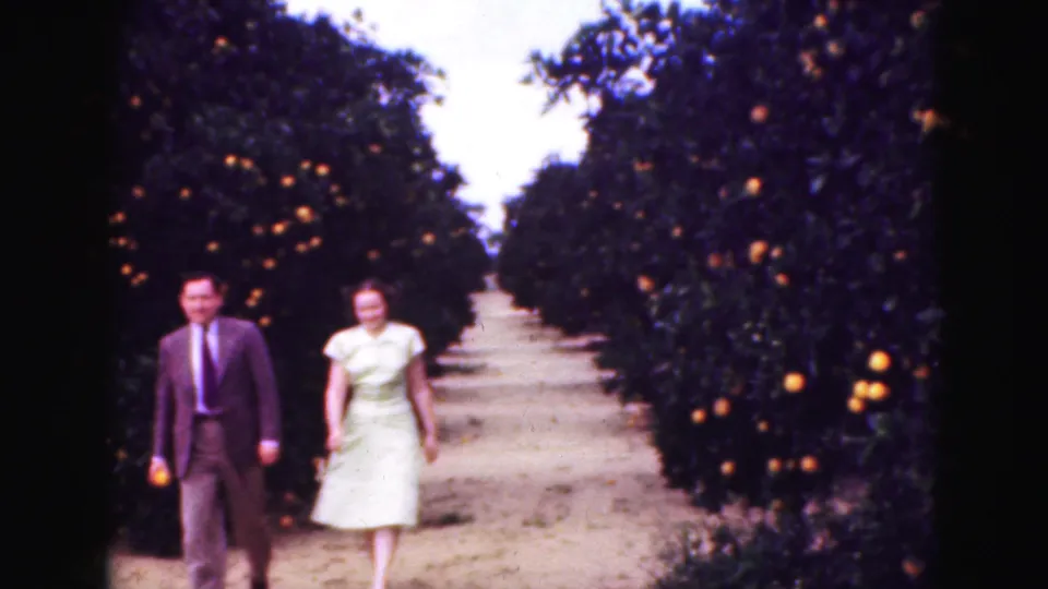 The couple appears closer in the grove, with the man in a dark suit and the woman in a pale dress on the dirt path.
