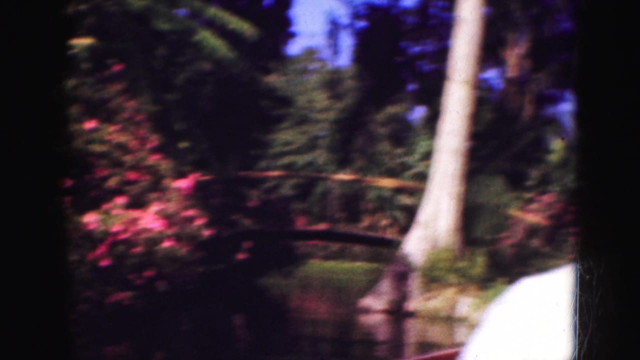 A handheld 8mm view shifts across a lush garden with pink flowers, water, dense greenery, and a pale tree trunk at the right.