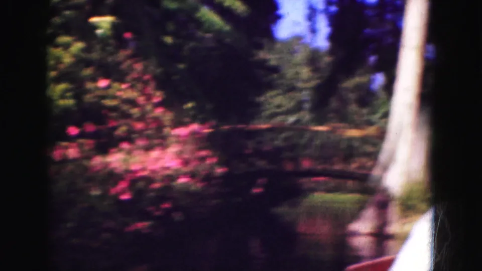 The garden remains in soft motion blur, showing pink flowers and dense green plants beside water with a pale trunk near the right edge.