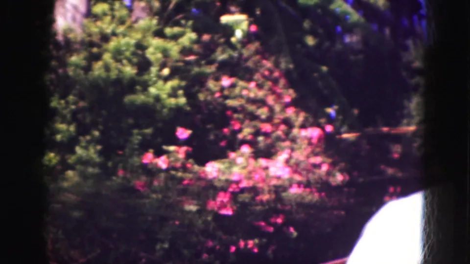 A 1970s 8mm garden view shows pink flowers and dense greenery near water, with a small arched bridge partly visible in the background.