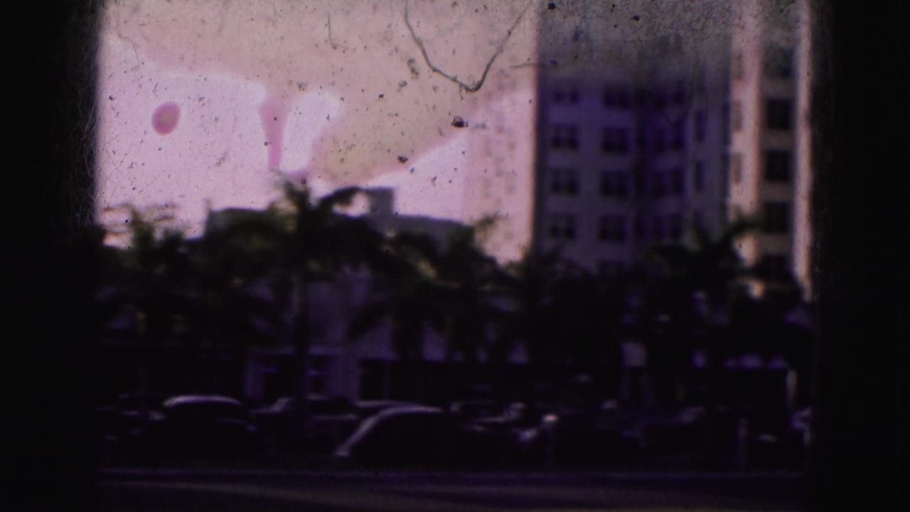1975 Florida home-movie frame showing a shadowed palm-lined road with cars and tall buildings beyond the film gate.