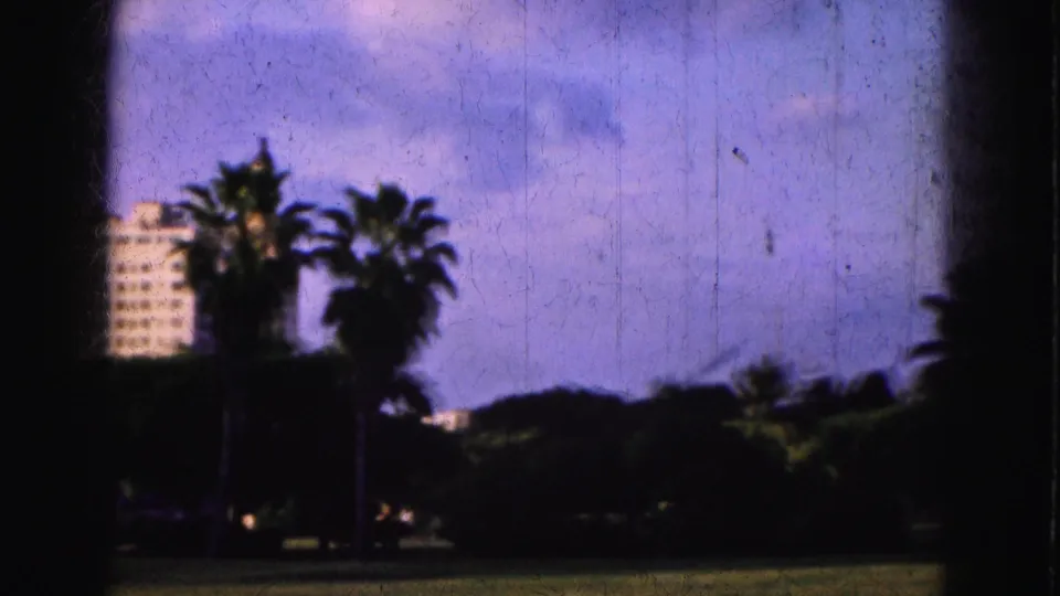 Palm trees, low greenery and a distant high-rise appear in a faded 8mm view from a Florida waterfront trip.