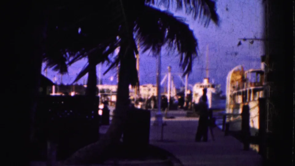 1975 Florida Everglades dockside view with palm fronds overhead, moored boats, and a paddlewheel-style vessel cropped at right.