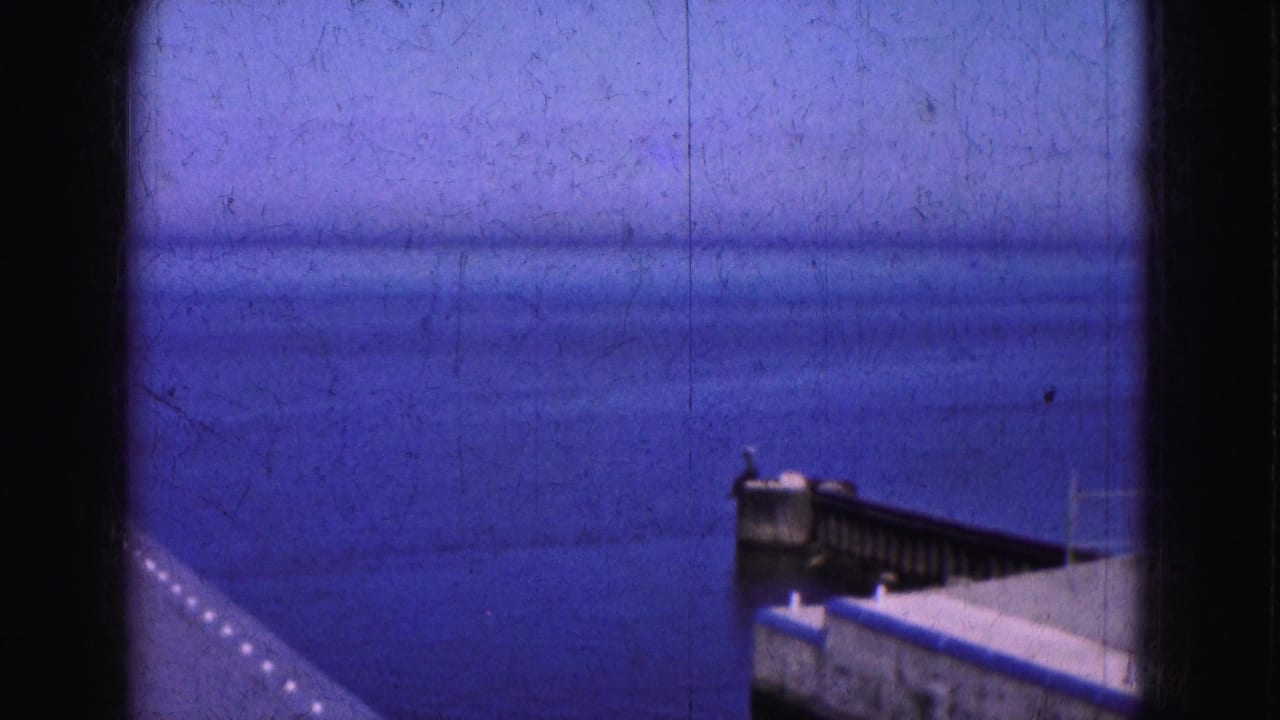 Open blue water and a dock corner with railing at the right edge of the frame.