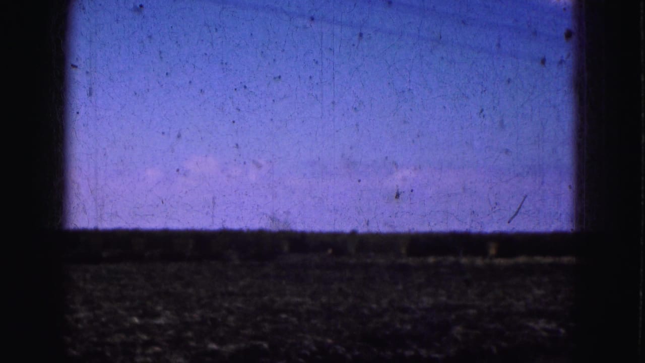 1975 Florida Everglades home-movie frame with blue-purple sky, faint clouds, dark window framing, and low flat ground.