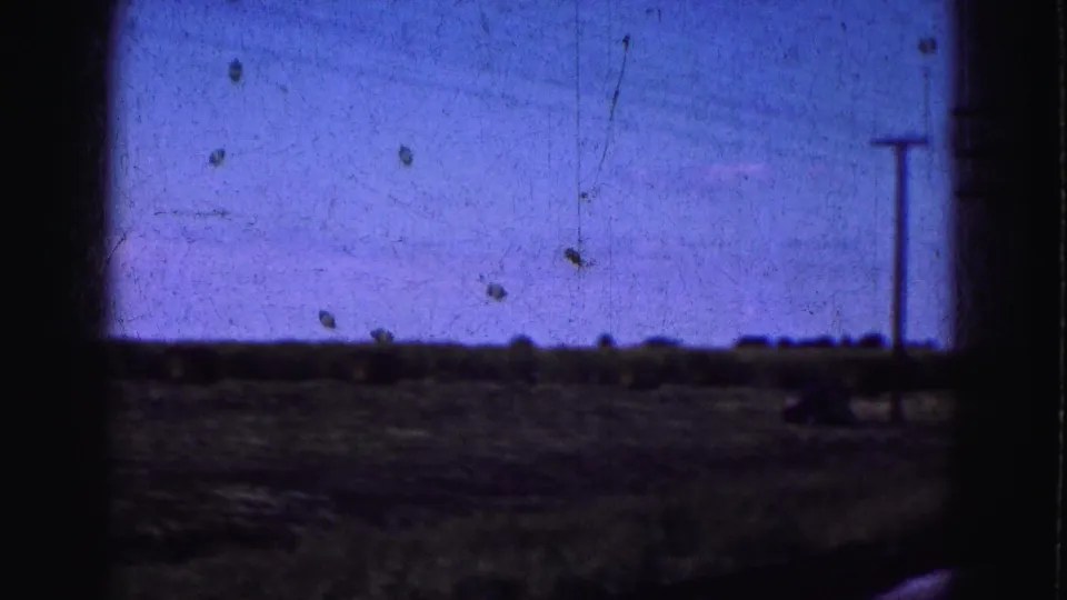 1975 Florida Everglades road-view frame with a telephone pole, power lines, open land, and grainy blue-purple sky.