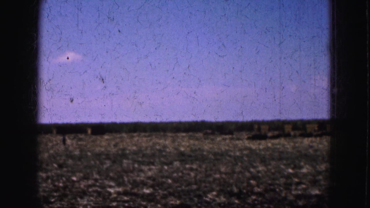1975 Florida Everglades home-movie frame showing flat open farmland, low crop residue, bright sky, and heavy film border shadows.