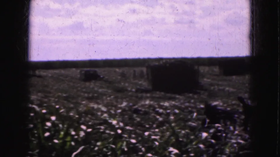 Soft 8mm frame of a harvested Everglades field with distant laborers and large dark bales or stacks.