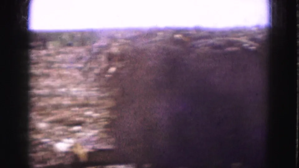 1975 Everglades-area home-movie frame with blurred field rows and a dark foreground hay or vehicle form.