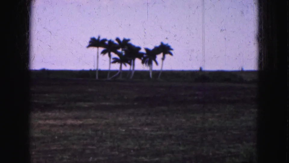 1975 Florida Everglades 8mm frame with silhouetted palms, flat foreground, pale lavender sky, and visible film-frame edges.