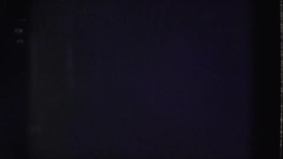 End-of-clip 8mm frame from the Florida Everglades reel, mostly dark with faint blue-purple exposure and visible film borders.