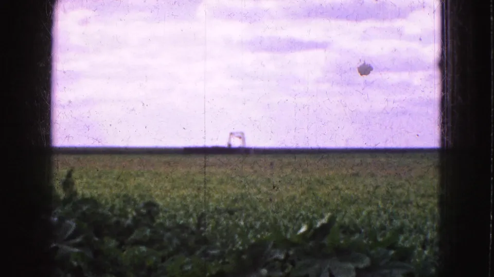 1975 Florida Everglades 8mm frame showing a flat green field, low horizon, cloudy sky, foreground vegetation, and film wear.