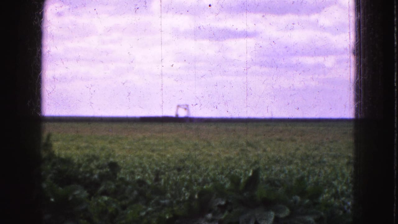 Green field and purple sky seen through a dark vehicle window frame.