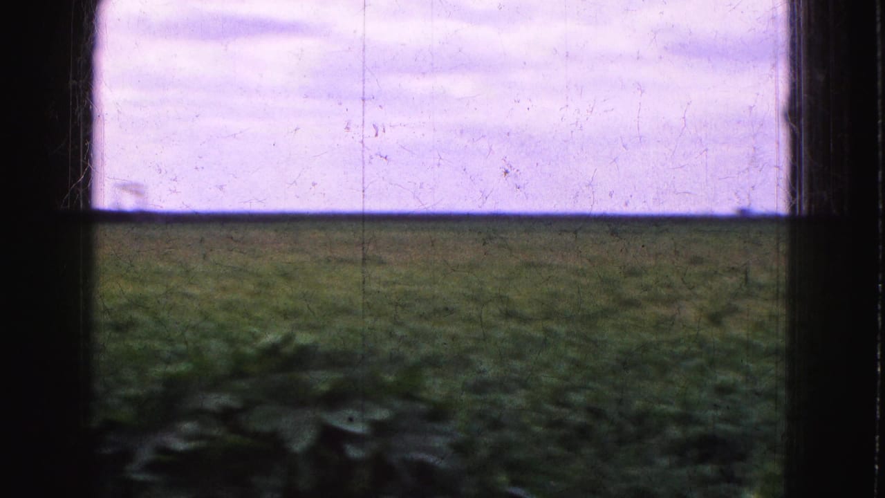 Flat green landscape framed by a dark window divider and soft foreground leaves.