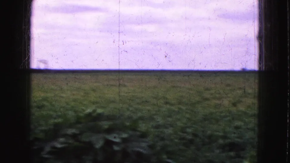 A 1975 home-movie frame shows green Everglades-area vegetation through a window, softened by motion and film grain.