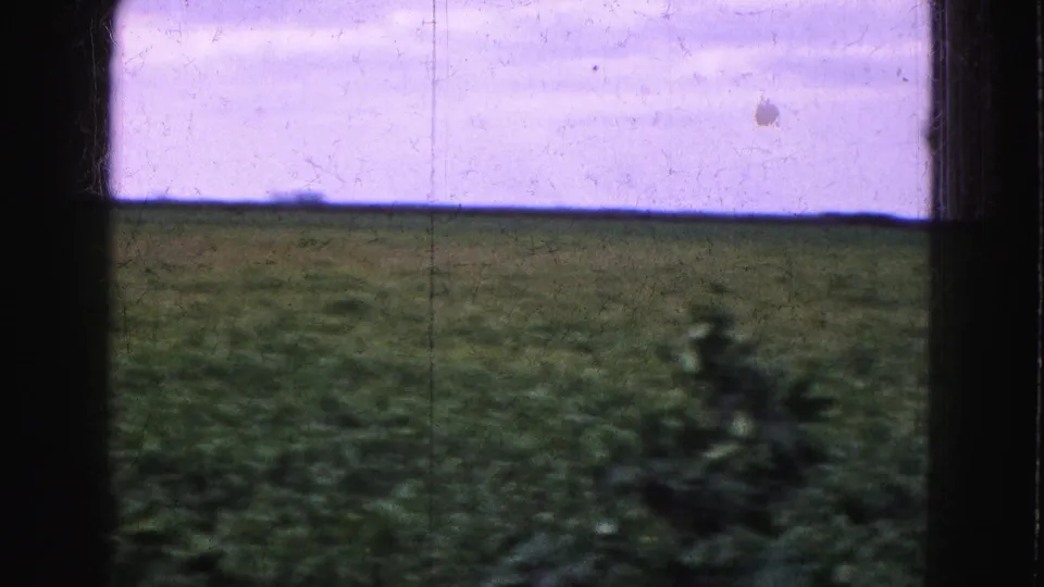 The vehicle view continues across a green Florida Everglades-area field, with motion blur, window edges, and aged 8mm color shift.