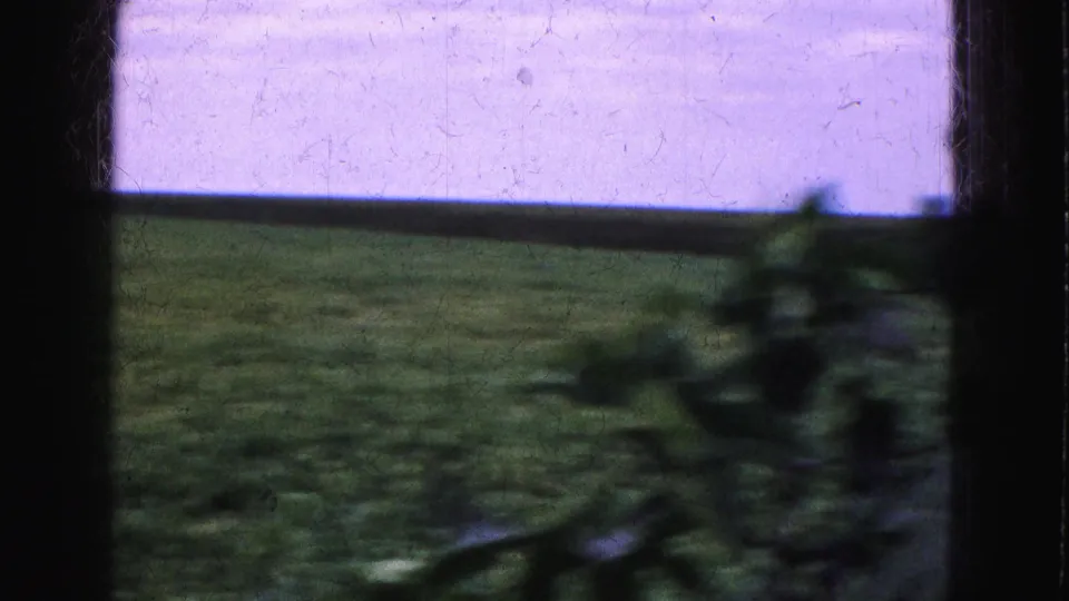 A final 1975 Everglades-area travel frame shows a green field and horizon partly obscured by blurred foreground leaves and window framing.
