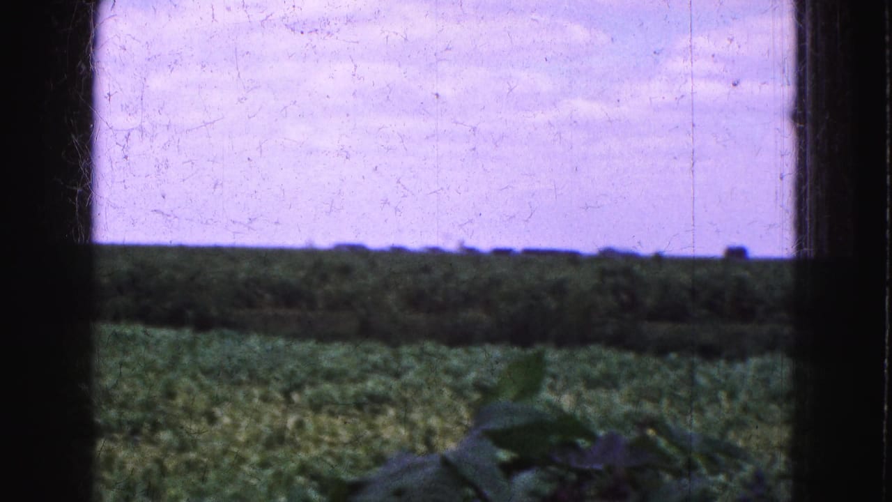 Open grassy field seen through a window frame with foliage at the lower edge.